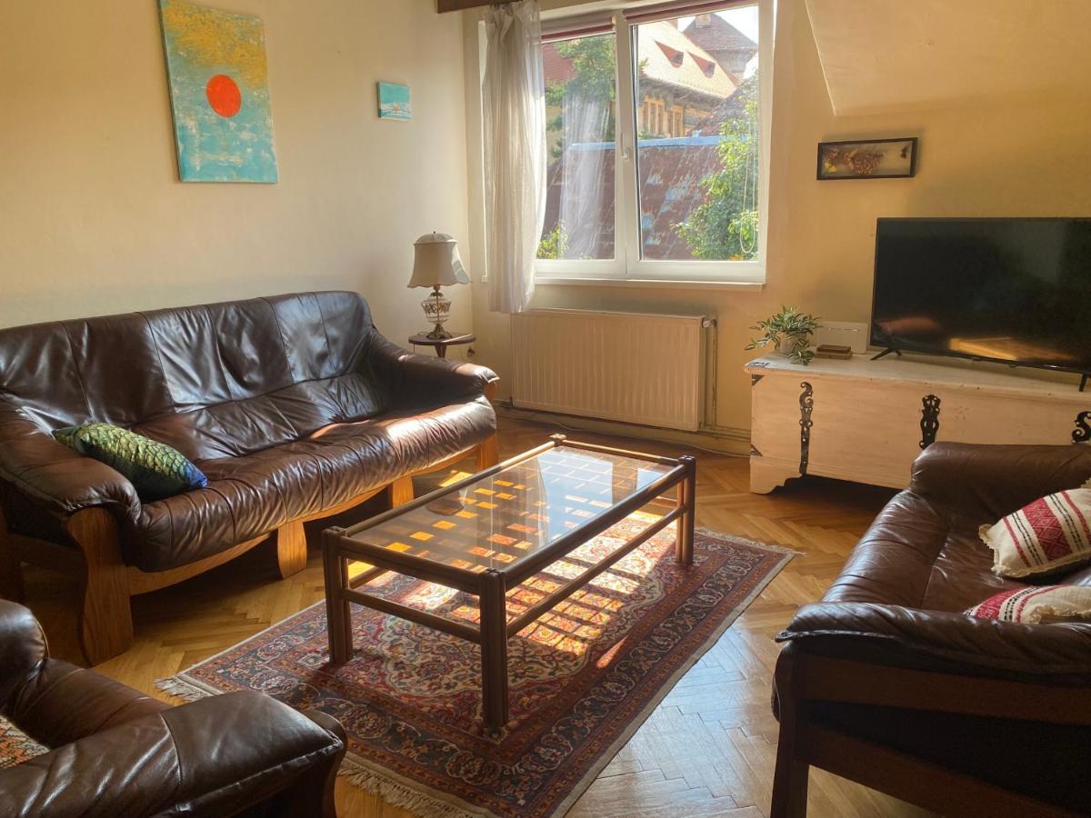 Rose'S Oldtown Apartment Braşov Buitenkant foto