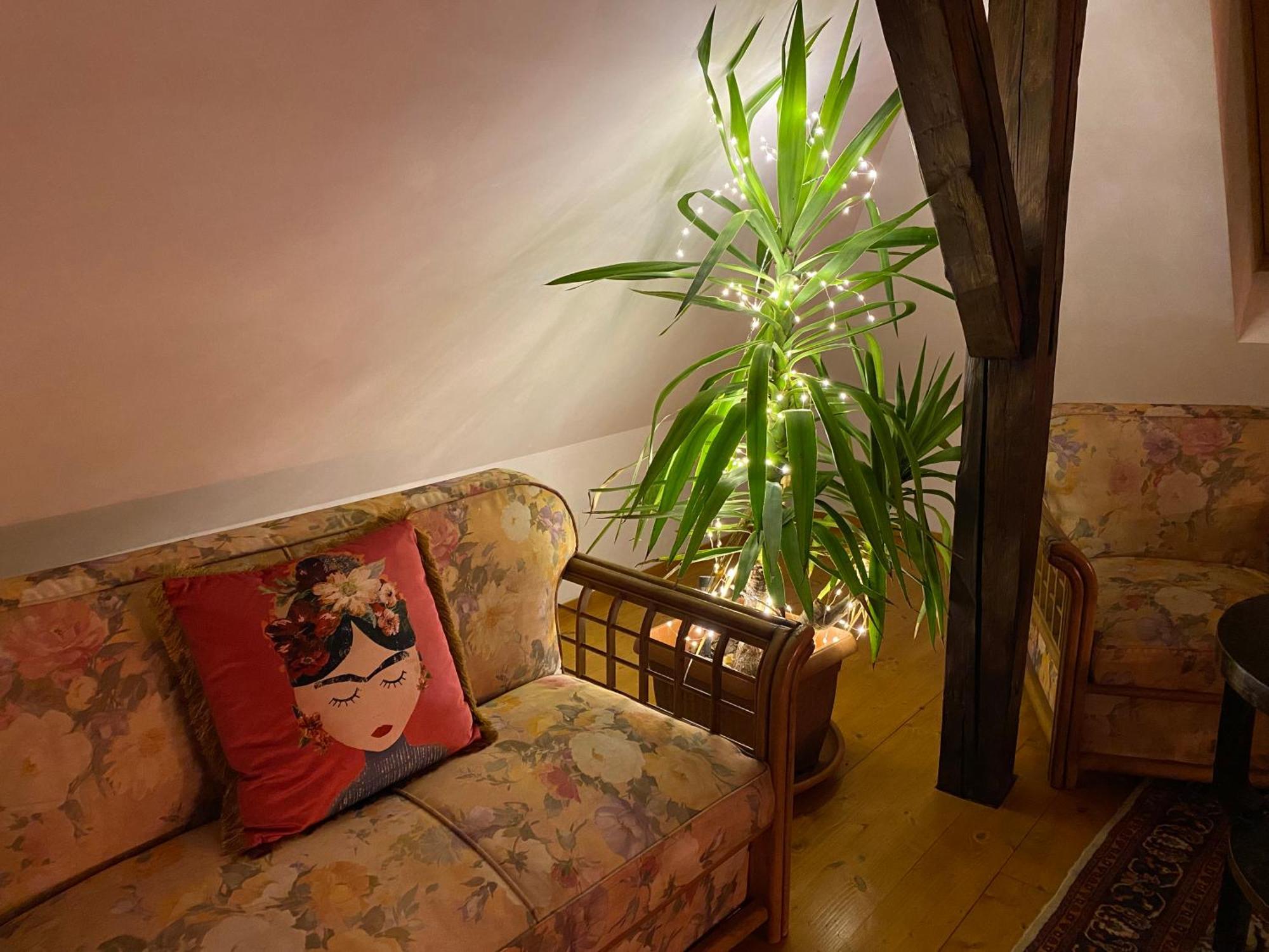 Rose'S Oldtown Apartment Braşov Buitenkant foto