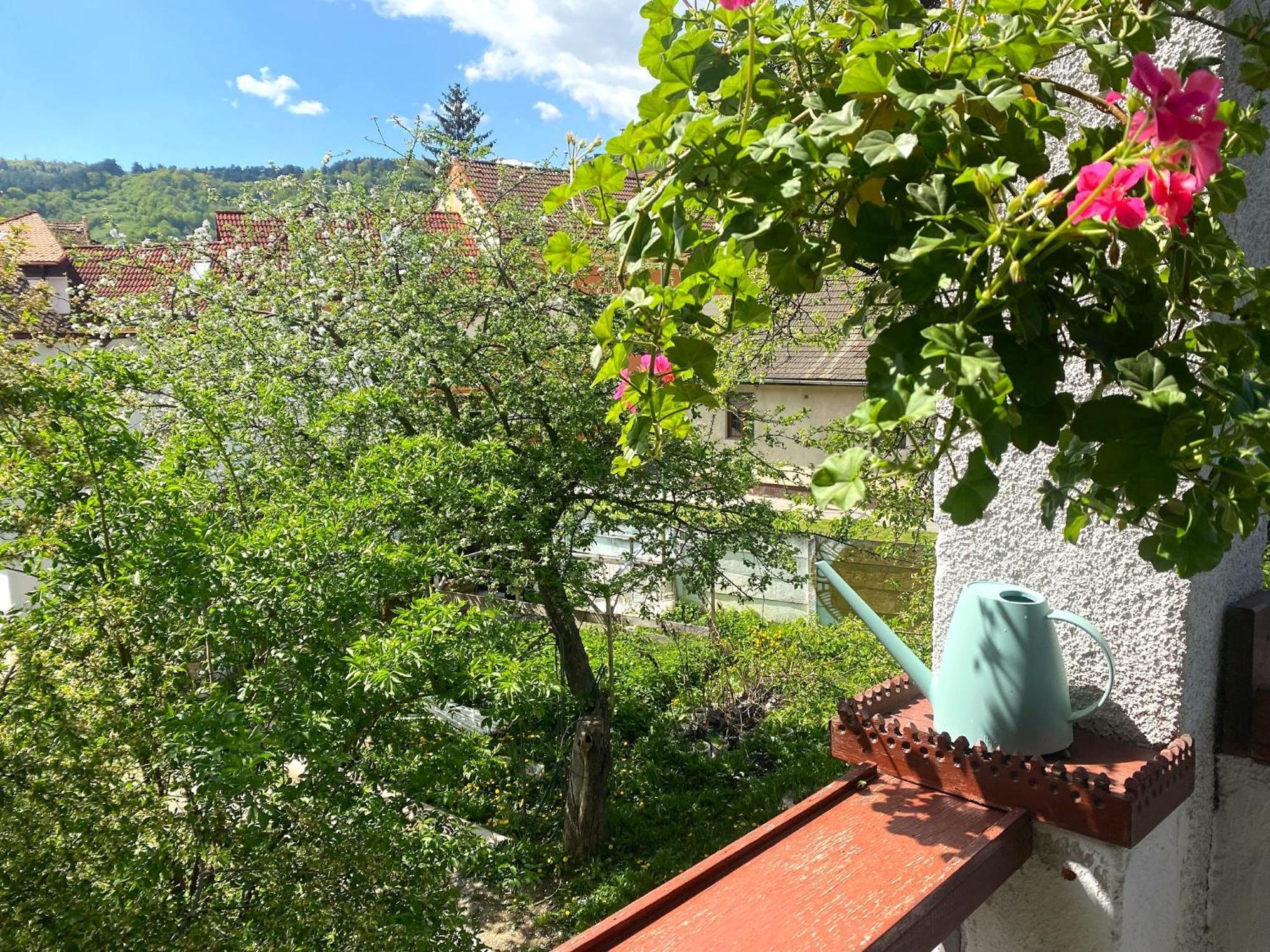 Rose'S Oldtown Apartment Braşov Buitenkant foto