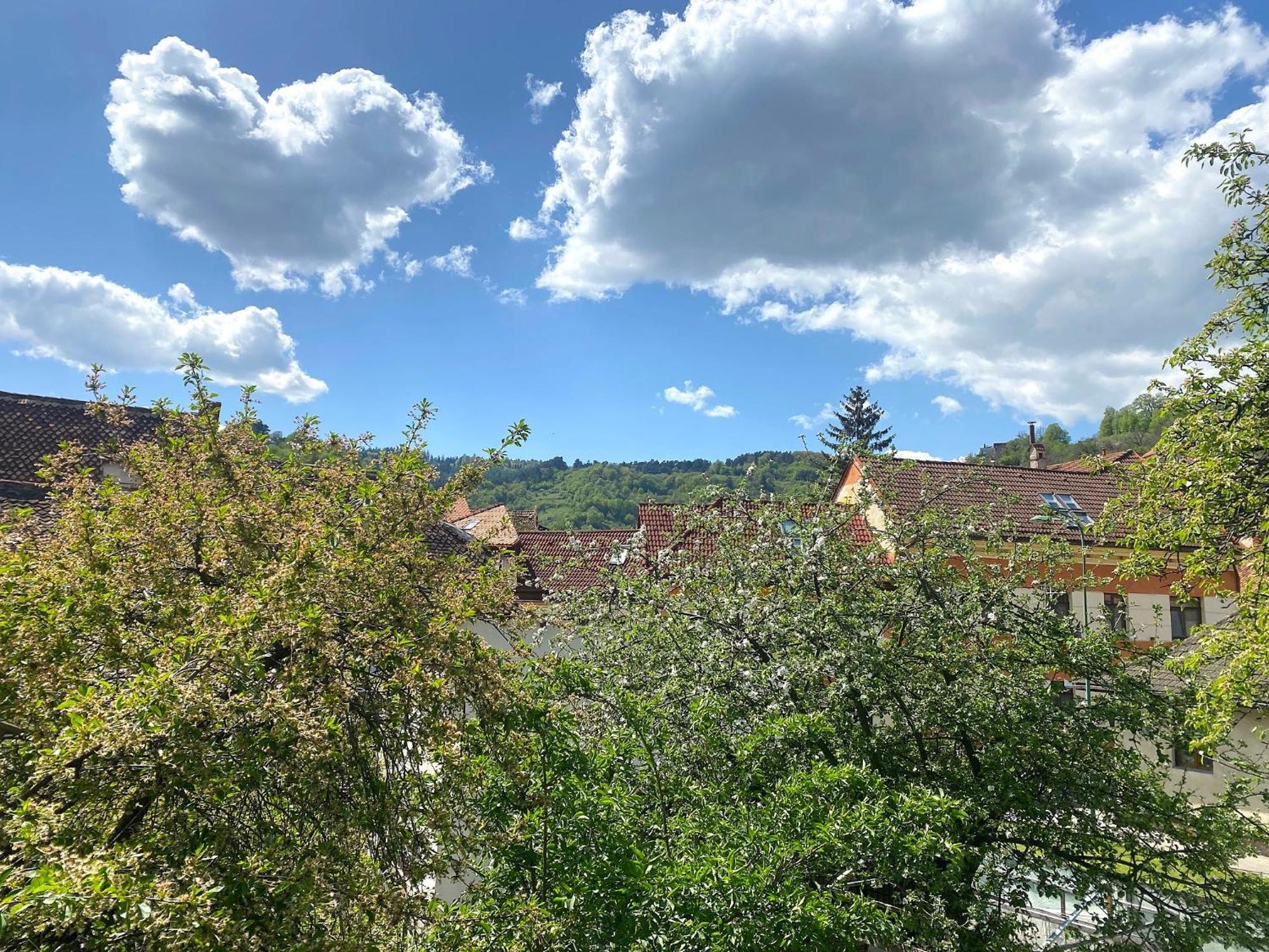 Rose'S Oldtown Apartment Braşov Buitenkant foto